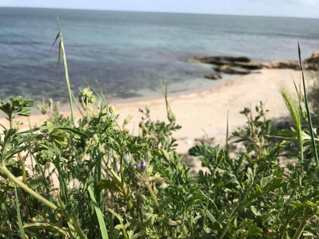 Black Sea Wellnest Aheloy ภายนอก รูปภาพ
